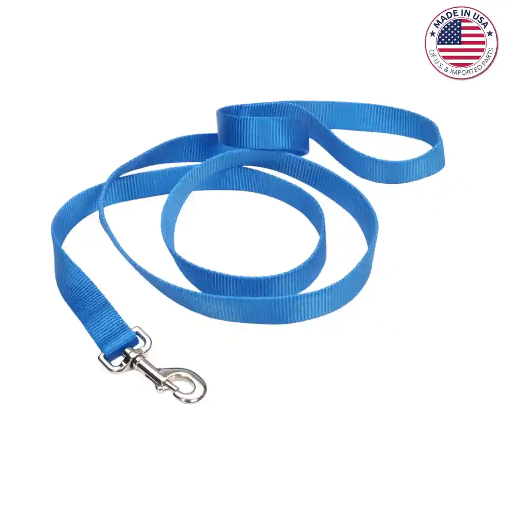 Single-ply Dog Leash, Blue Lagoon, 3/4" X 4'