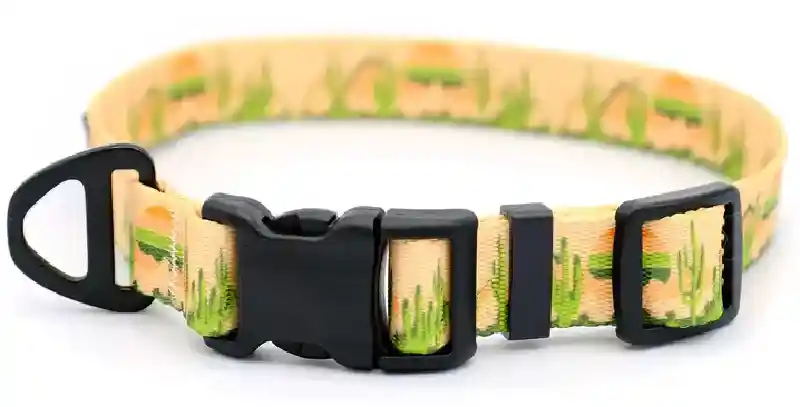 Outdoor Nylon Collar Cactus Cream Lg