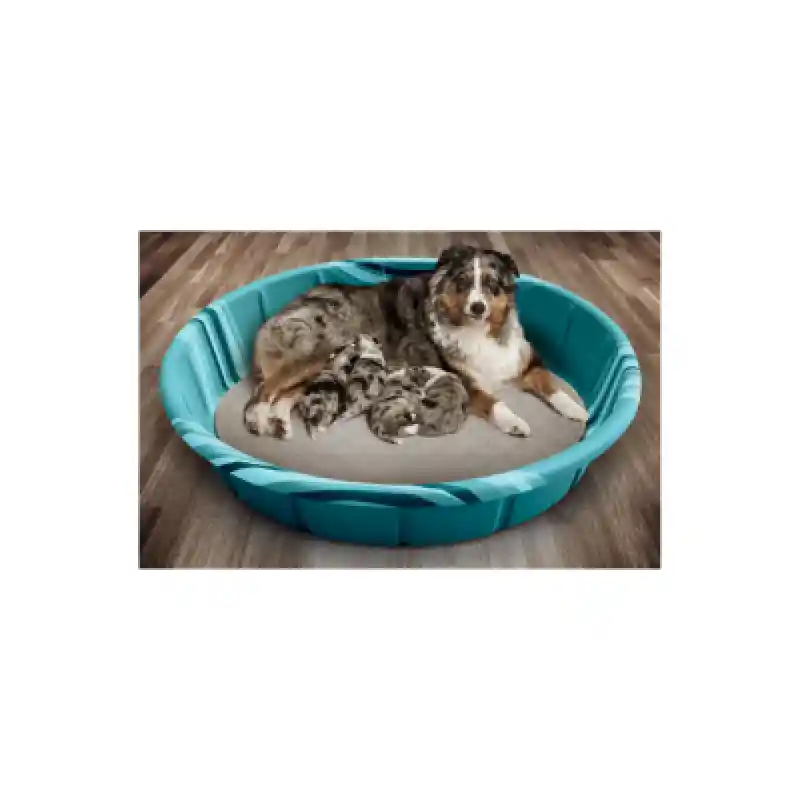 Pet Parents Washable Pee Pads Round Med