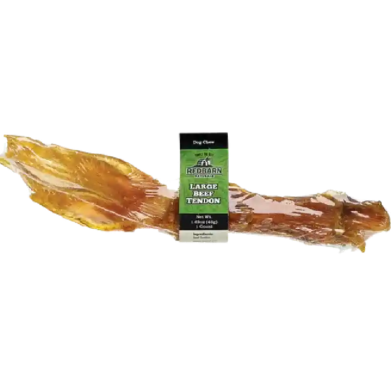Tendons Large
