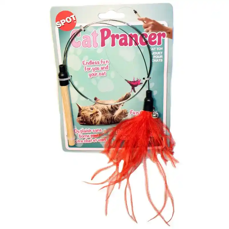 Cat Prancer Color Teaser Wand Assorted 44 Inch