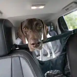 Auto Travel Dog Barrier