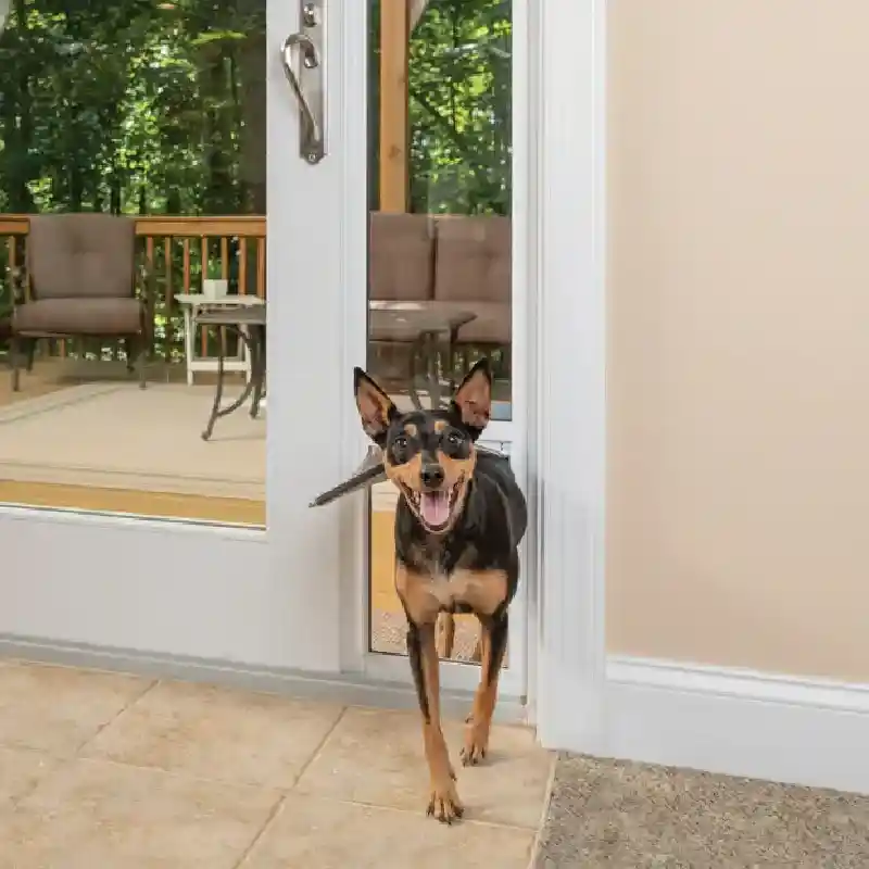 Petsafe Patio Panel Wht Lg Tal