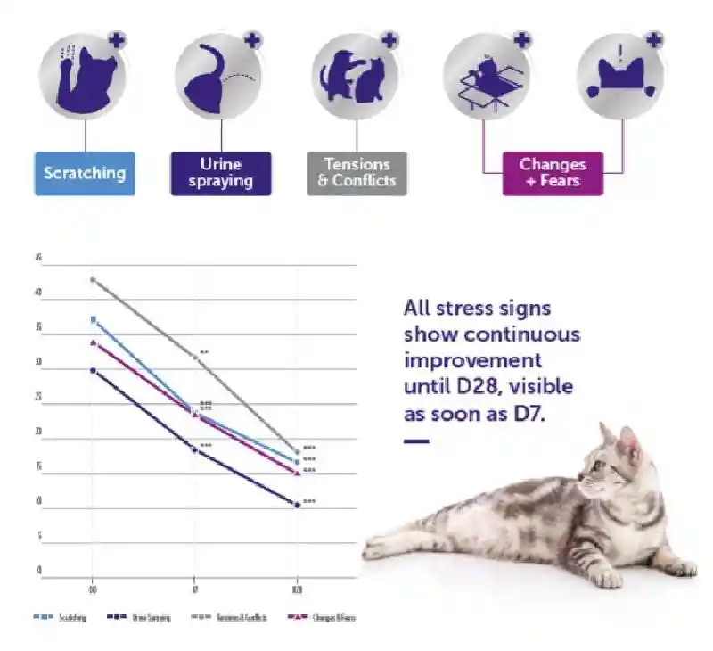 Ceva Optimum Cat Kit 48ml