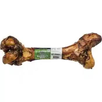 Mammoth Bone (6ct)