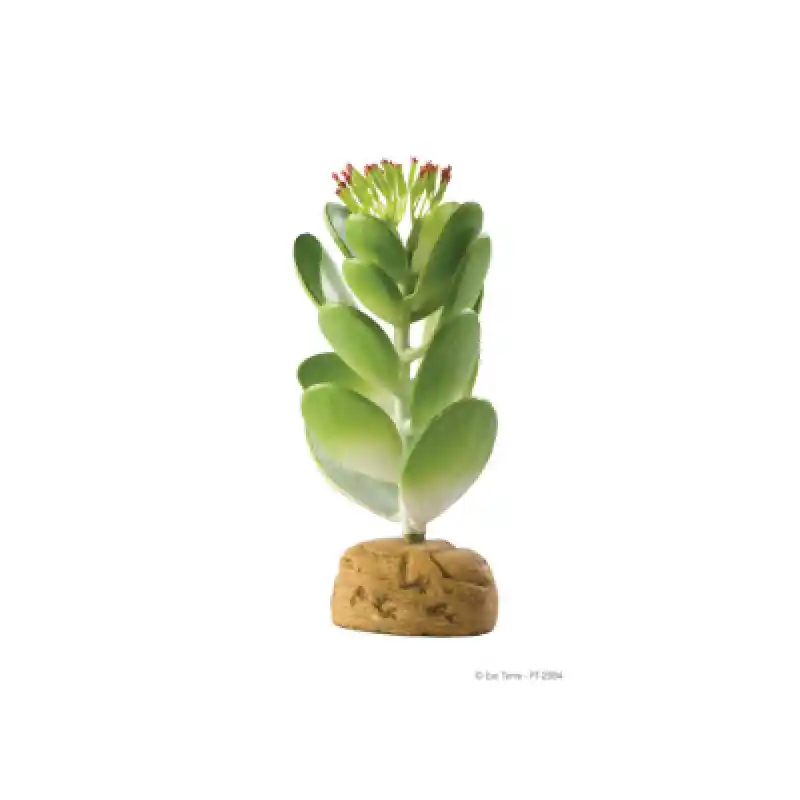 Exo-terra Plant, Jade Cactus