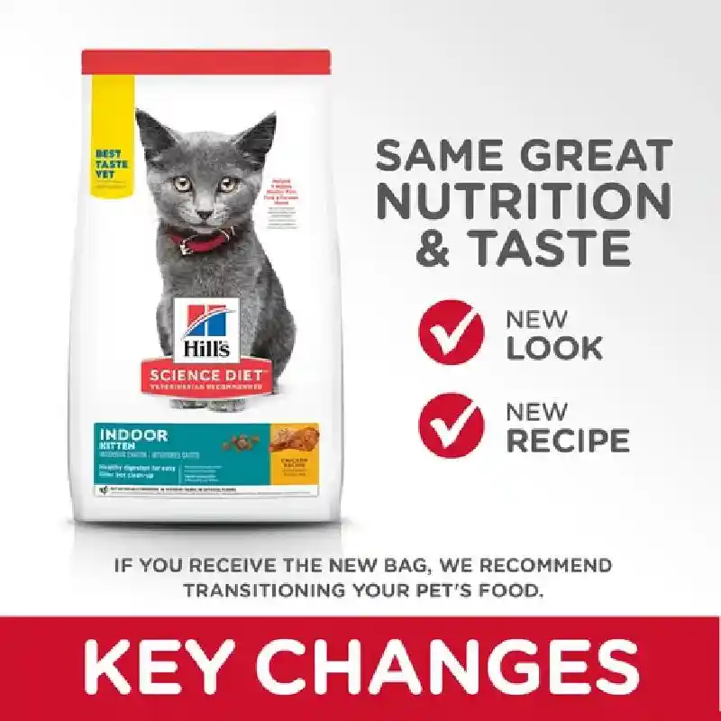 SD Fe Indoor Kitten 7 9378