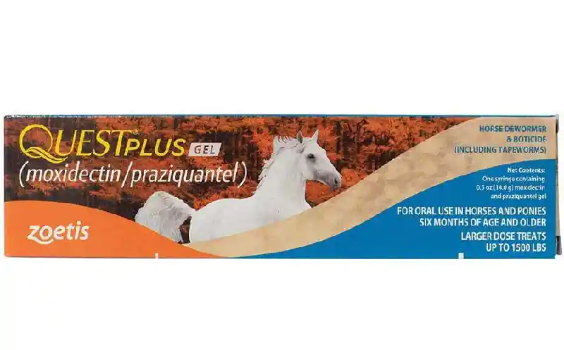 QUEST PLUS Gel Horse Dewormer - 1 Tube