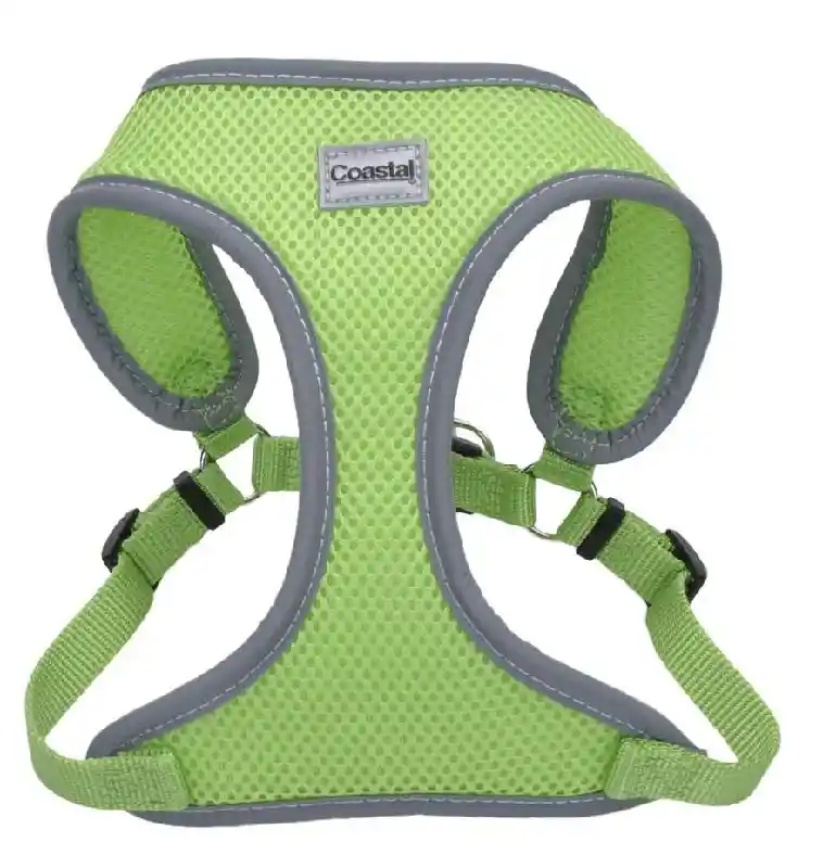 Mesh Refl Harness Lim Xsm