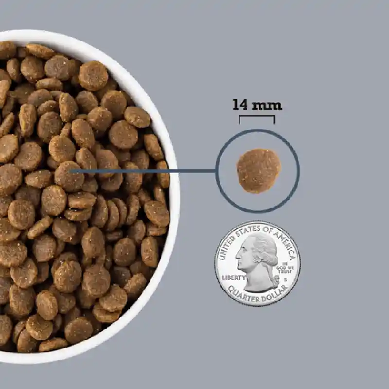 Acana Light Fit 25lb Dog