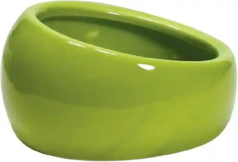 Living World Ergonomic Dish Green Large