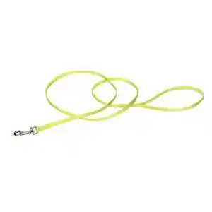 Lead 3/8in Nylon Web 6ft Lim