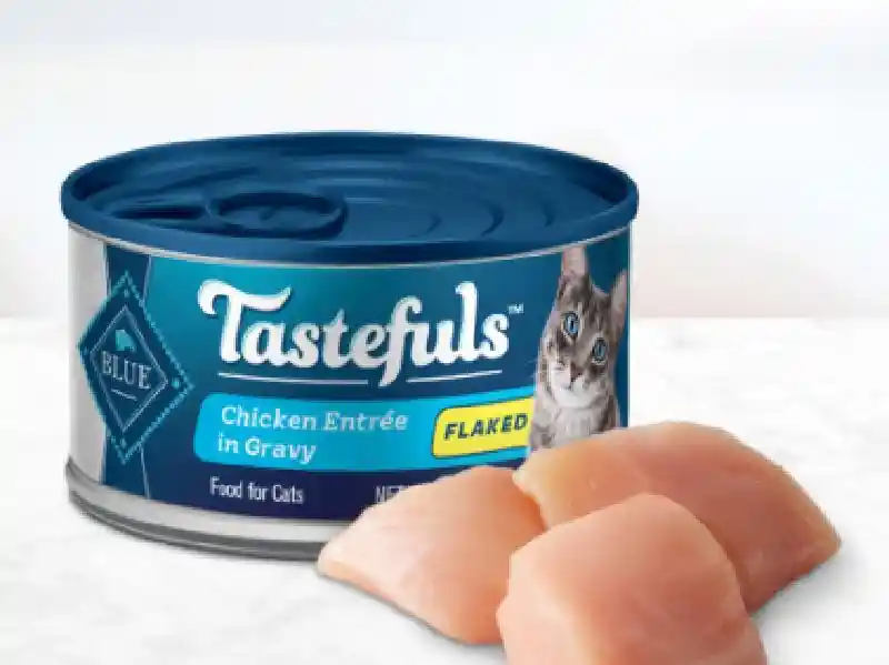 Blue Taste Cat Chick Flake 5.5z