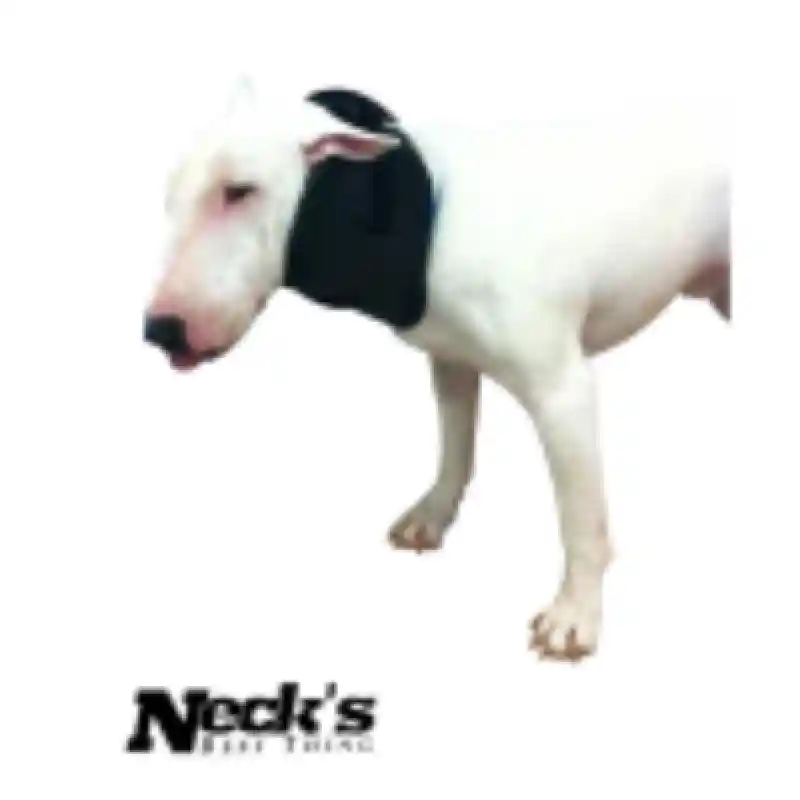 Necks Best Thing Brace
