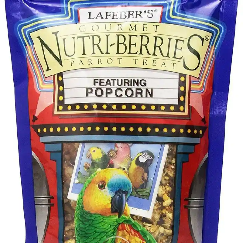Nb Popcorn 4 Oz Parrot