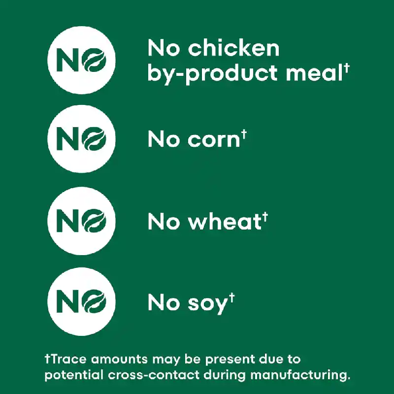 Nutro Chicken Rice Oat 30lb