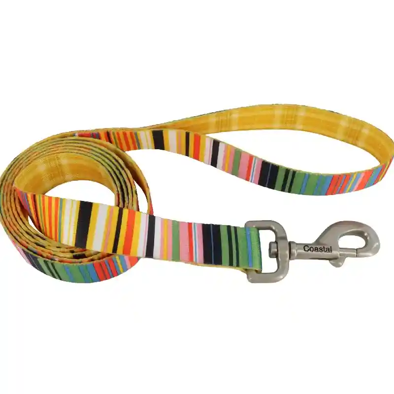 Dog Leash - Stripe With Gold Plaid 1" X 6'