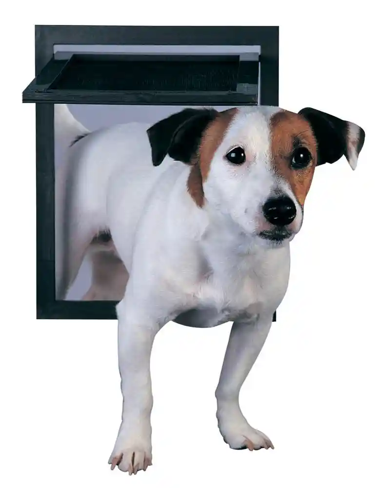 Pet Safe Screen Door For Cats