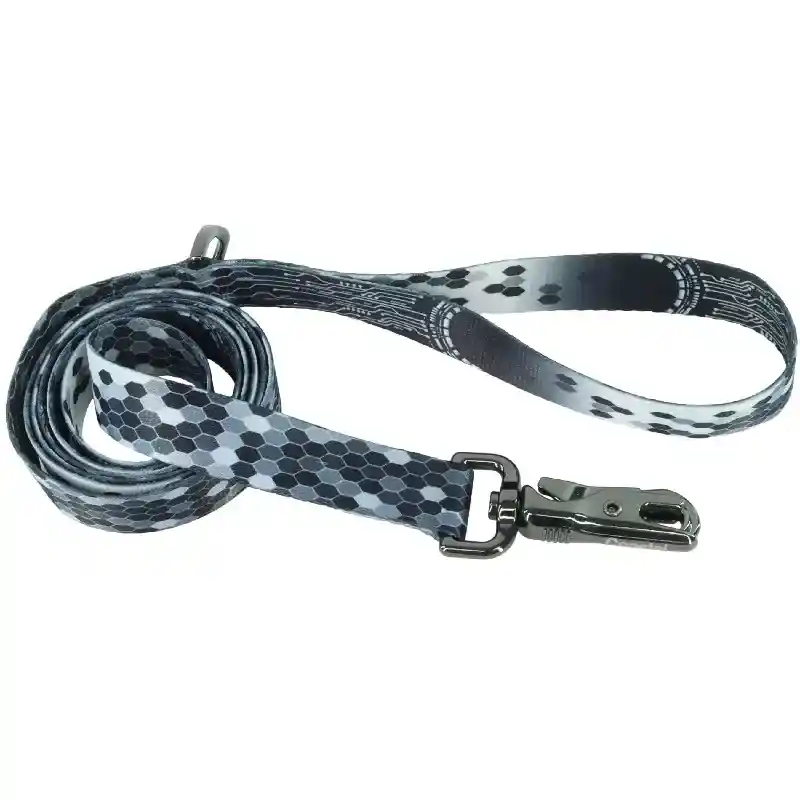 1" Inspire Fashion Leash DGM 6'