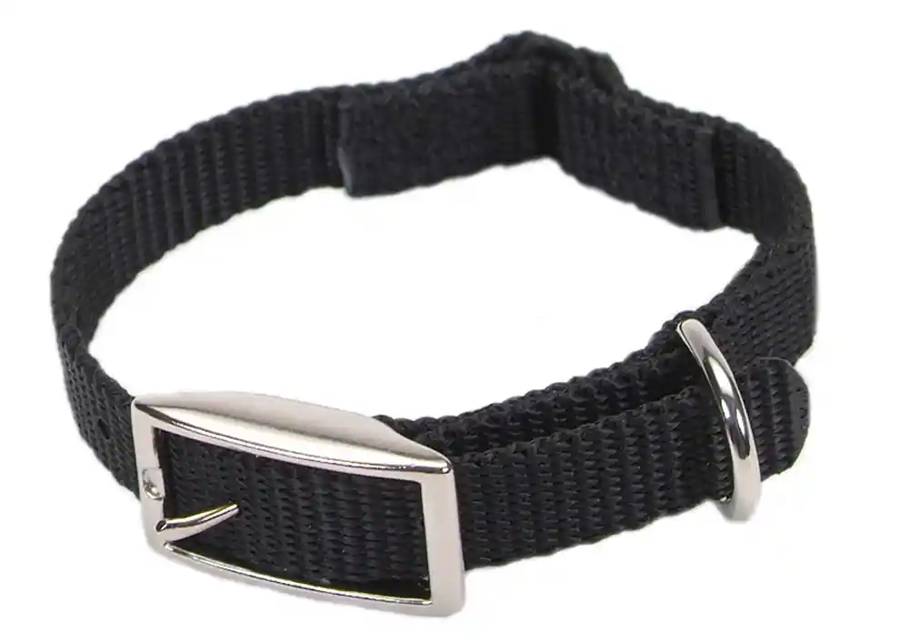 Safety Cat Collar, Black, 3/8" X 10"
