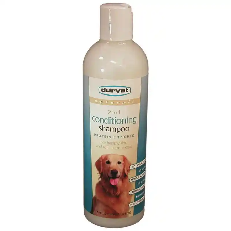 Naturals Basics 2 in 1 Conditioning Shampoo 17oz