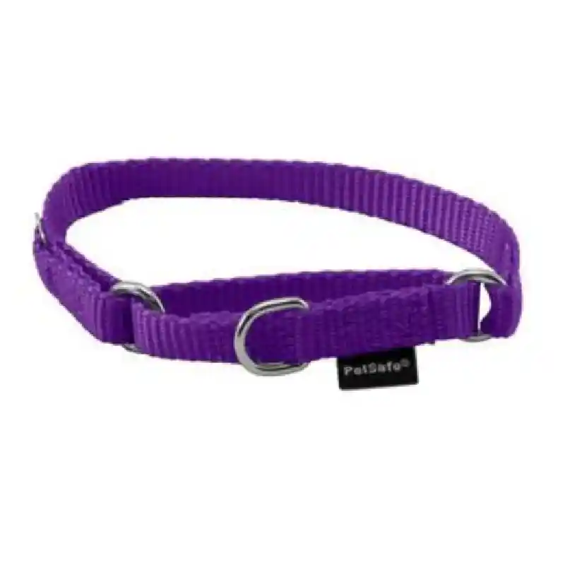 Petsafe Martingale Collar Pet 3/8in Drk Pur