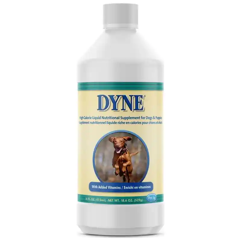 Dyne High Calorie Liquid Nutritional Supplement for Dogs 16oz