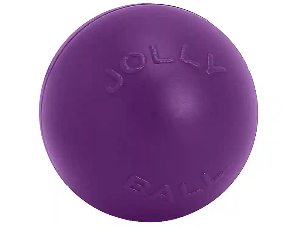 Jolly Ball Push N Play 10" Blue