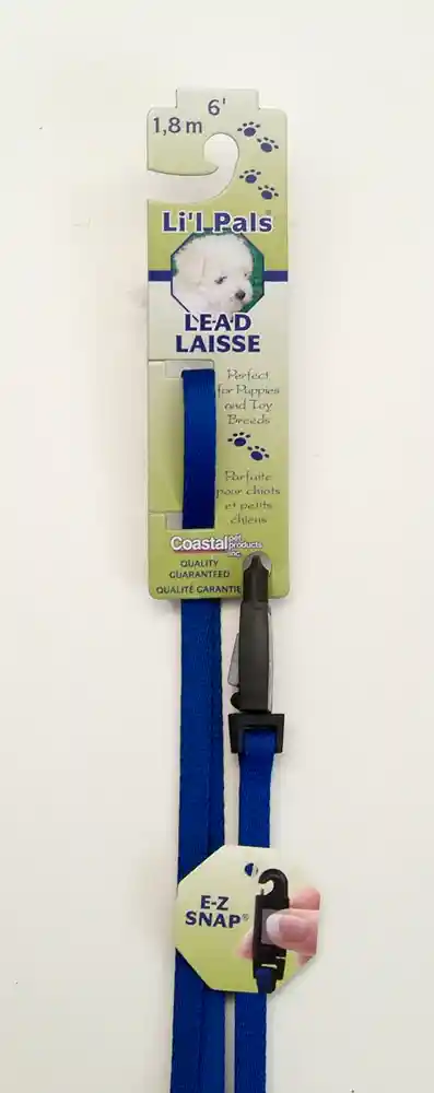 Dog Leash With E-z Snap, Blue, 3/8" X 06'