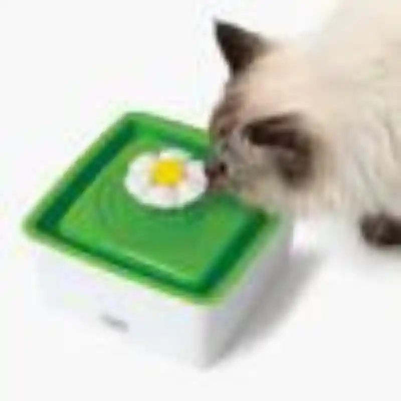 CatIt Catit Flower Fountain Mini by Rolf C. Hagen, Inc