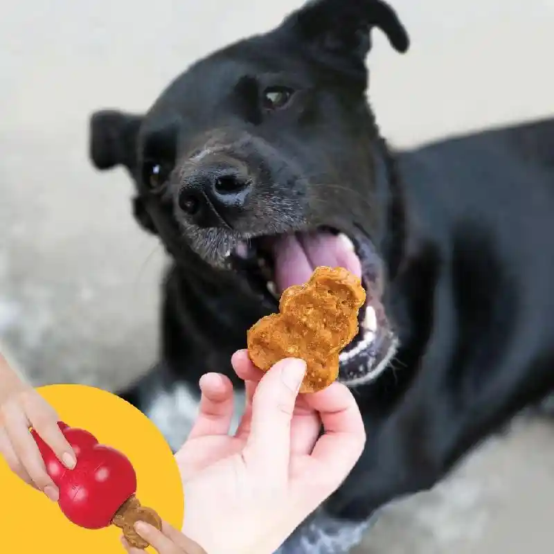 Kong Ckicken Jerky Treat Md/lg