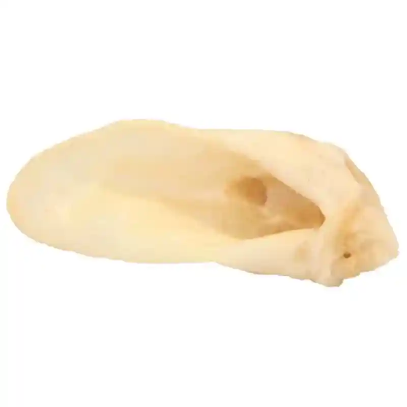 Lamb Ears