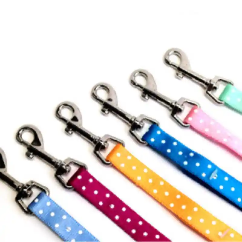 Leash 5/8inx6ft dots past blue