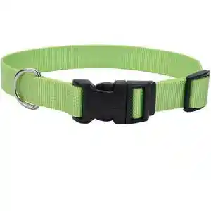 Adj Collar Large Lime