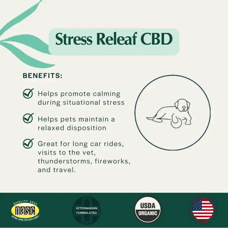Pet Releaf Dog 600 Stress Releaf Hemp Oil 1 Oz