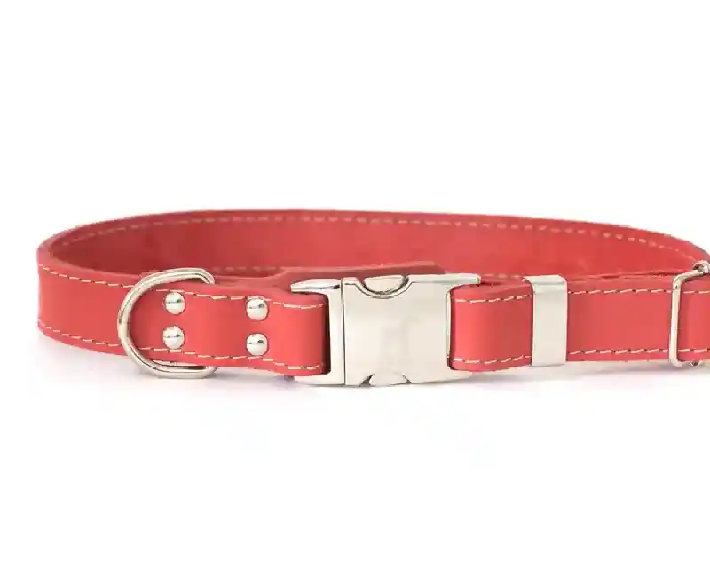 Quick Release Leather Collar Xs 9-12" Coral