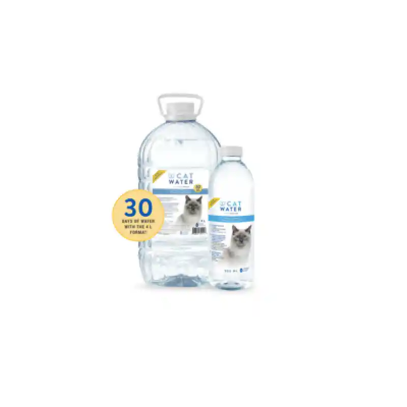 H&C Cat Water 16.9oz