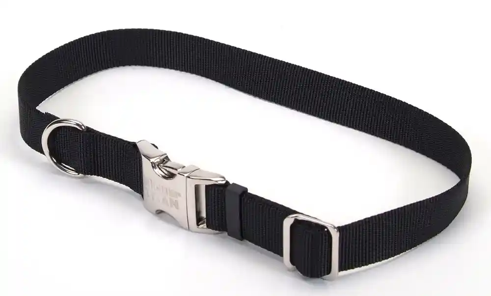 Adjustable Dog Collar With Metal Buckle - Black 1"