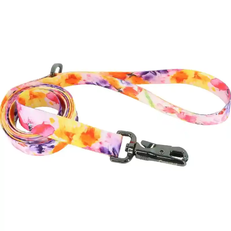 1" Inspire Fashion Leash SHB 6'