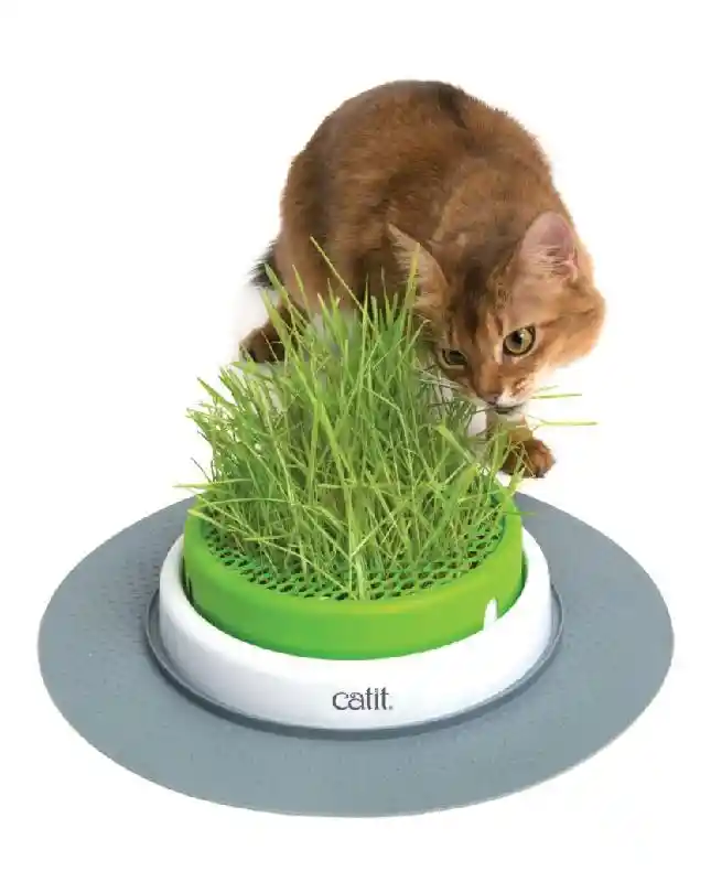 Catit Sen 2.0 Grass Kit