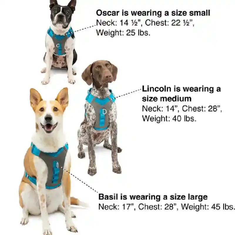 Journey Air Harness Purple Sm