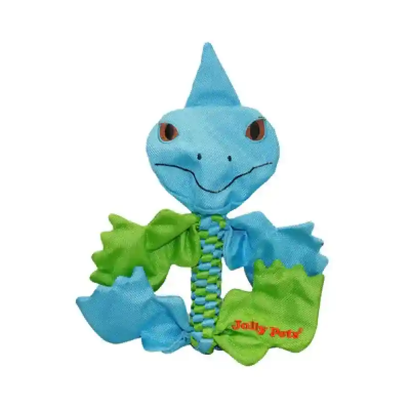Iguana Flathead - Medium