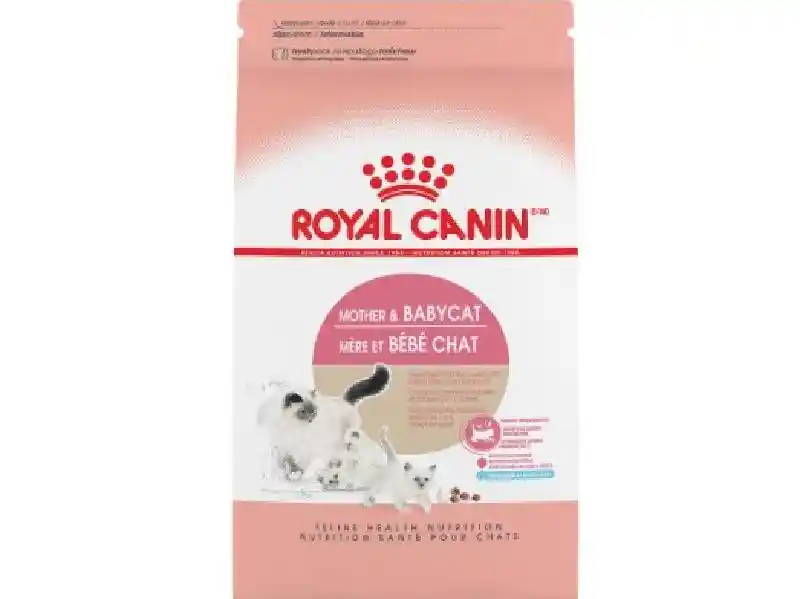 Rc Cat Mother Babycat 3.5lb