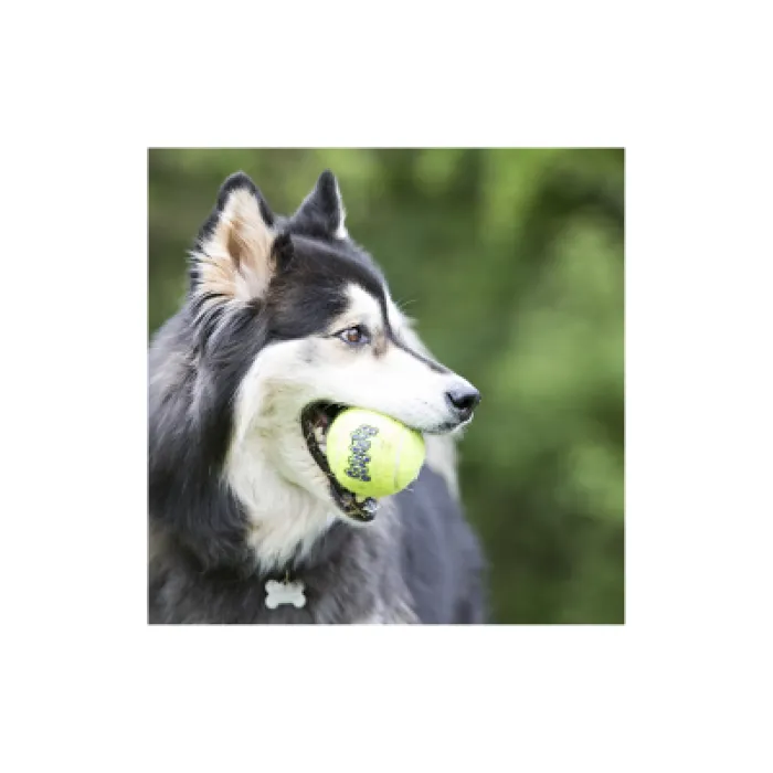 Kong Toy Air Squeaker Ball X-large