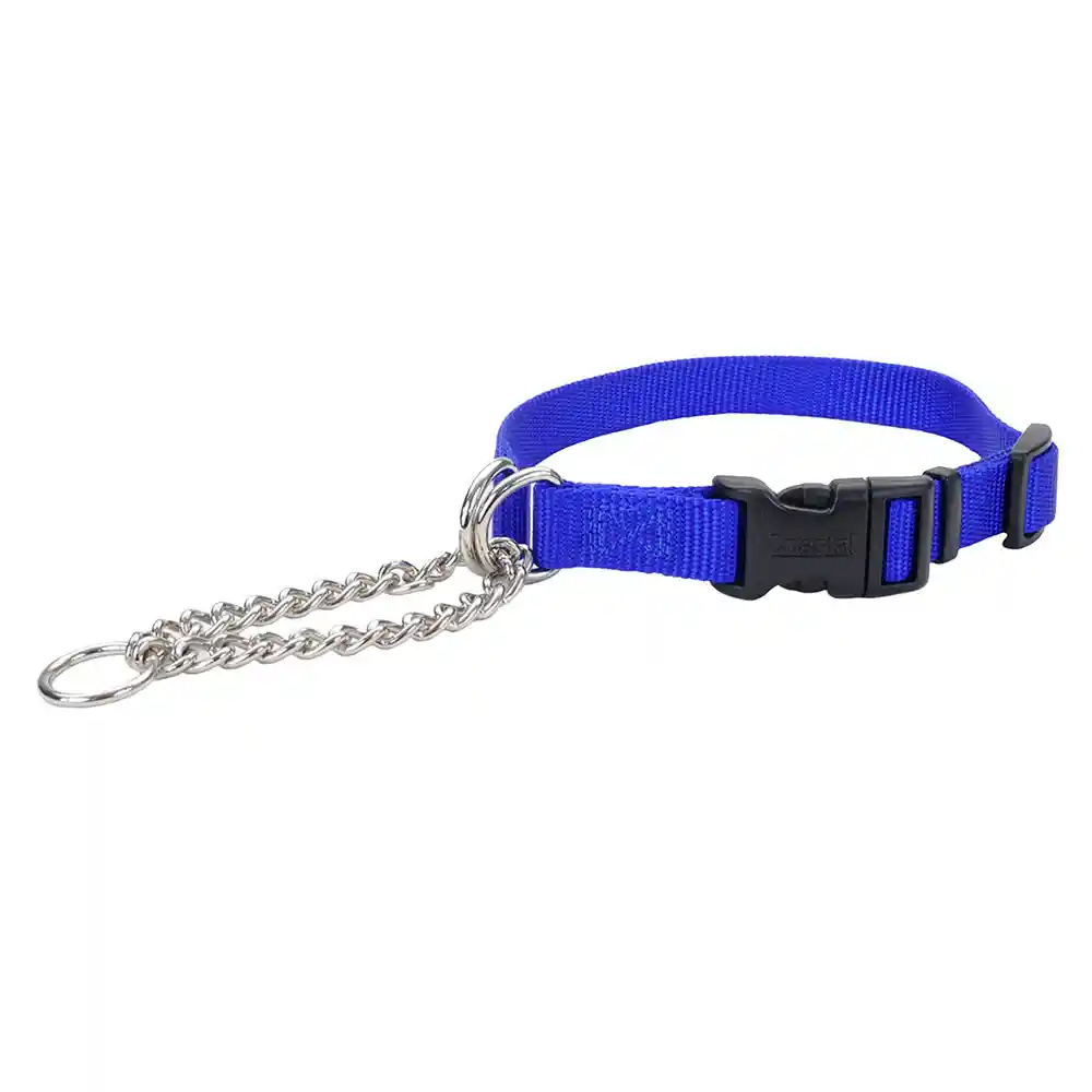 Adjustable Check Training Collar With Buckle For Dogs - Blue Med 5/8"x14" 18"