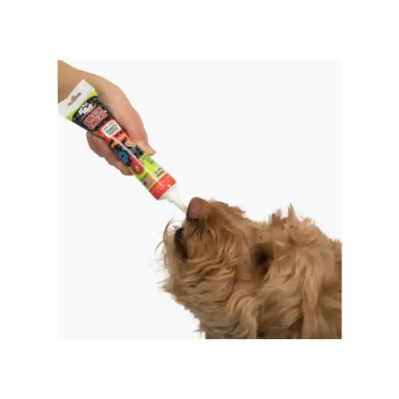 Jolly Pets Fill'n Treat Paste