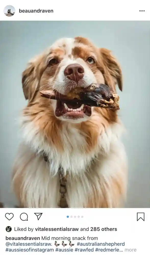 Freeze Dried Duck Heads