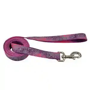 1" Reflect Leash 6' Pwf
