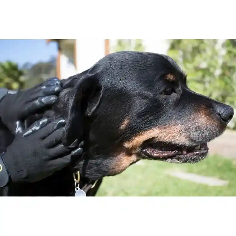 Bathing/Grooming Gloves Black Medium