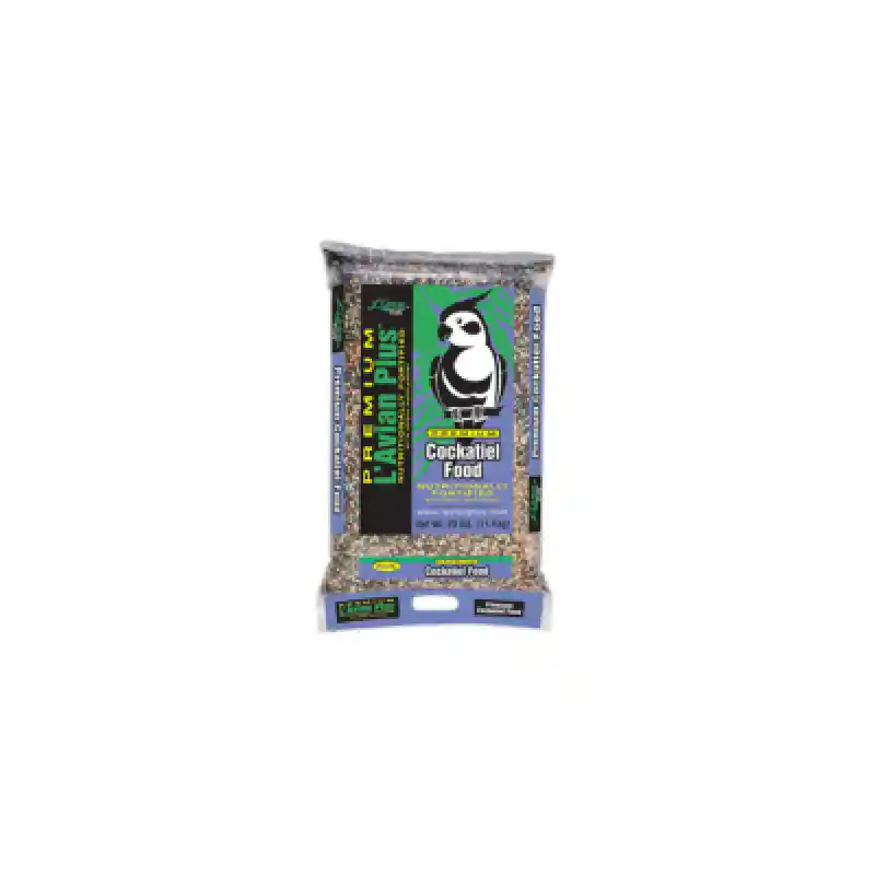 25# Cockatiel Lavian+